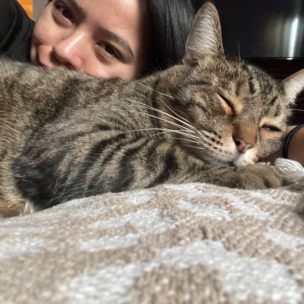 Meet your Posher, Sindi